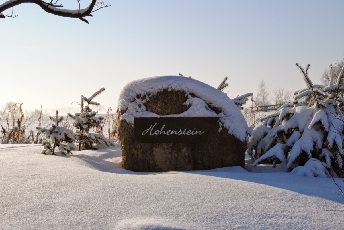 Der Weihnachtsbaum in Gladowshöhe