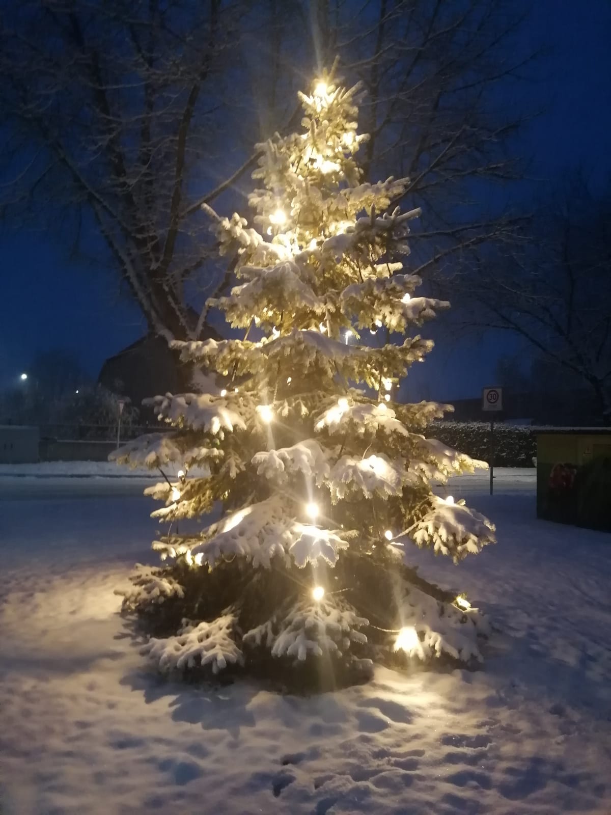 Weihnachtsbaum in Hohenstein
